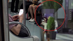 Sleeping Passengers' Phones Targeted: How to Prevent Pickpocketing