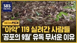 [에디터픽] 나갔다가 결국 '사망'&hellip;9월이 유독 무서운 이유
