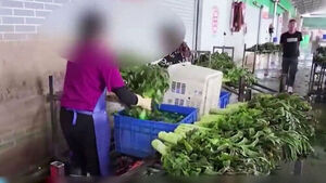 "Dyed Lettuce" Found in China, Authorities Investigating Potential Imports to Korea