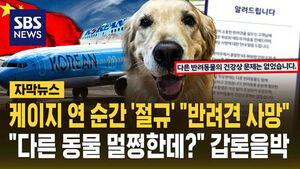 "중국서 탄 반려견이&hellip;CCTV 보여줘" 대한항공 반박