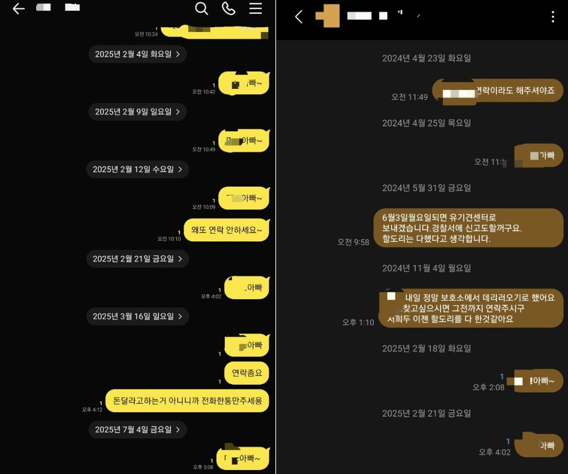애견호텔 업주가 보호자에게 연락한 내용 (사진=독자 제공, 연합뉴스)