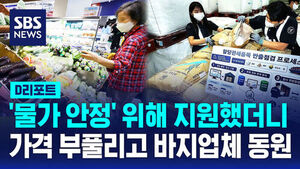 [D리포트] '물가 안정' 위해 지원했더니&hellip;가격 부풀리고 바지업체 동원