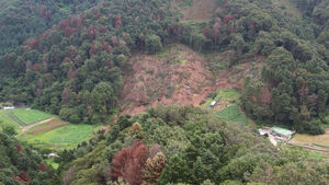 Pines Turning Red and Dying... Experts Warn Spread Nearing Peak Across South Korea
