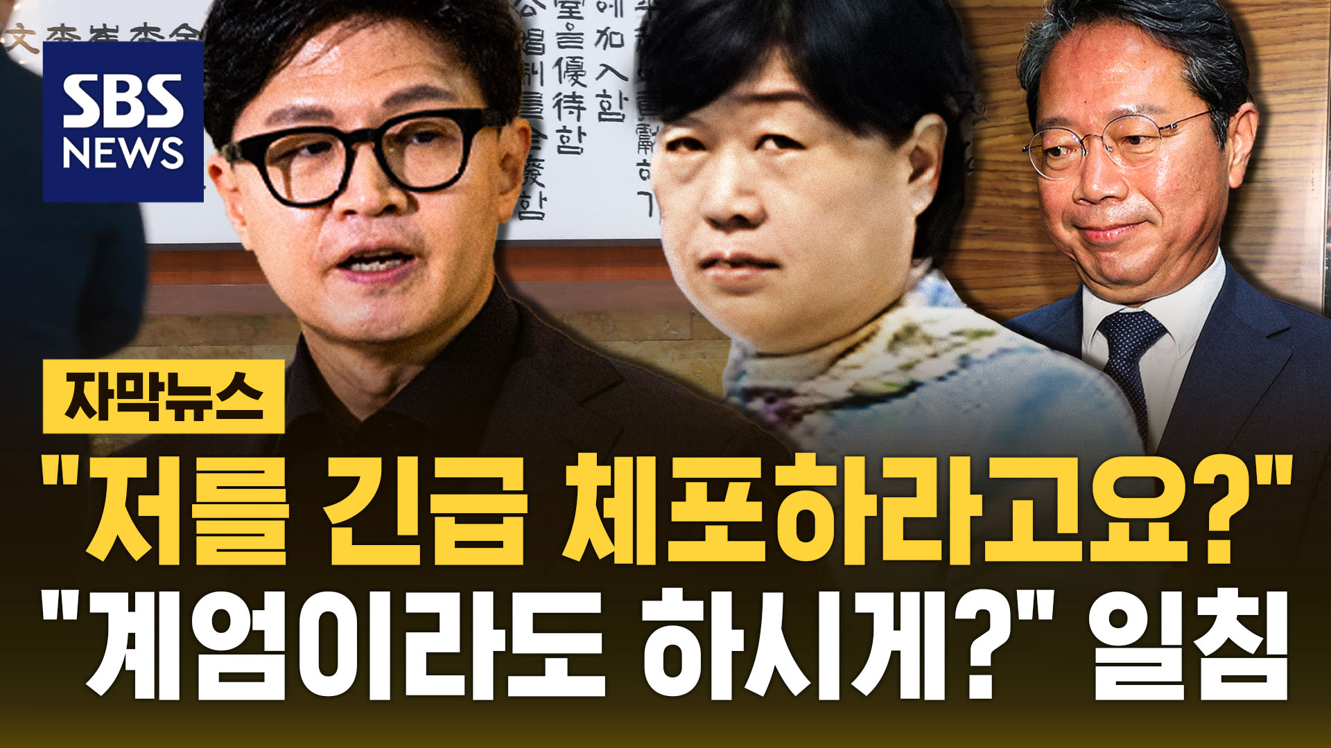 "저를 긴급 체포하라고요?"…"계엄이라도 하시게?" 직격 miniatura