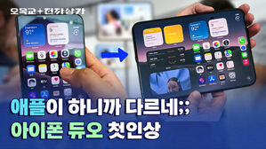완성도 미쳤는데 가격도? 아이폰 듀오 솔직 후기