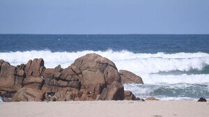 Series of Isolation Incidents on Rocky Shores Along South Chungcheong's West Coast... "Must Check Tide Times"