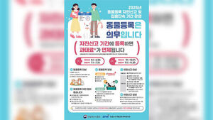 10월까지 동물등록 자진신고 기간&hellip;미등록 과태료 면제