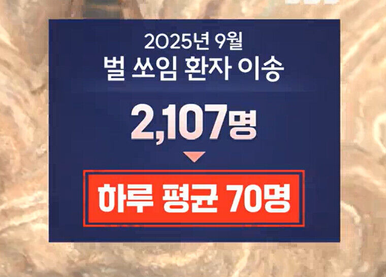 9월 뱀 벌 주의보
