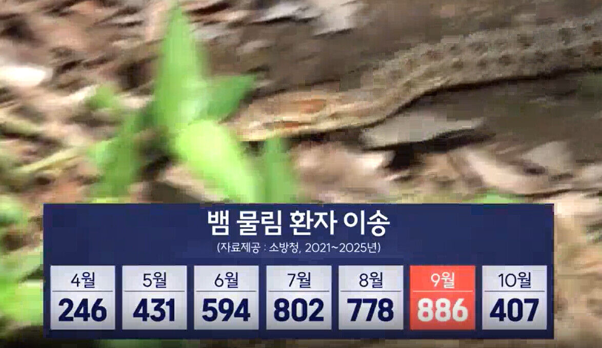 9월 뱀 벌 주의보