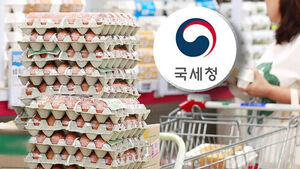가격 올리고 탈세까지&hellip;국세청, 41개 업체 조사