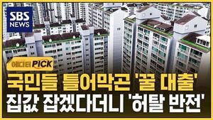 0915 에디터픽_공공기관 대출