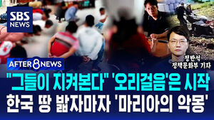 [AFTER 8NEWS] "그들이 지켜본다" '오리걸음'은 시작&hellip;한국 땅 밟자마자 '마리아의 악몽'