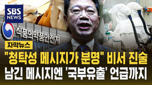 국부 유출