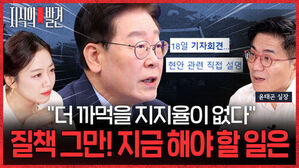 지식의 발견, 18일 기자회견 현안 관련 직접 설명, 윤태곤 실장, 더 까먹을 지지율이 없다, 질책 그만 지금 해야 할 일은 이재명 대표 모습