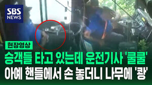 [현장영상] 두 손 배에 놓더니 '쿨쿨'&hellip;버스 기사 운전 중 나무에 '쾅'