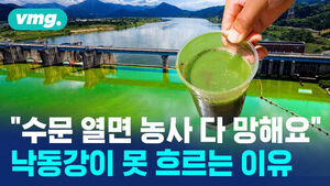 [비머 X] "수문 열면 농사가 위험, 닫으면 녹조"&hellip;강을 둘러싼 딜레마, 어떻게 해야 할까
