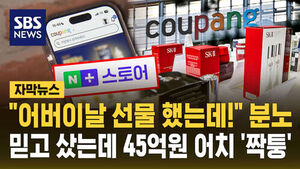 짝퉁짝퉁