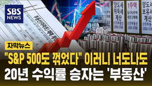 [자막뉴스] 이러니 너도나도&hellip;"S&P 500도 꺾었다" 20년 수익률 승자는 '부동산'