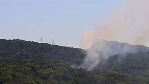 Fire Breaks Out at Mountainous Area in Jangan-gu, Suwon; No Casualties Reported