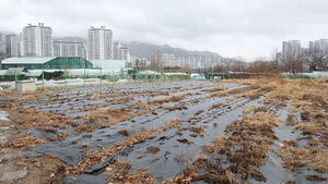 Exemptions Granted for Inherited and Elderly Farmland in Nationwide Inspection, With Conditional Suspension for Conventional Leases
