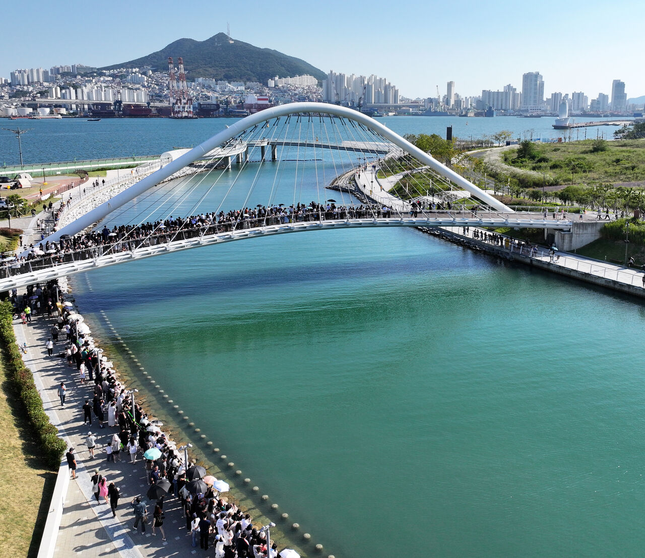 Citizens capture a shark that appeared in the waterway at the Busan Port North Port Waterfront Park in Dong-gu, Busan, on the 20th.