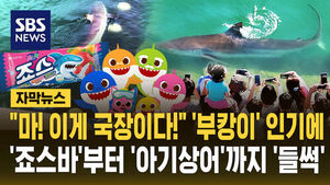 [자막뉴스] "마! 이게 국장이다!" '부캉이' 난리에&hellip;'죠스바'부터 '아기상어' 회사까지 주가 '들썩'