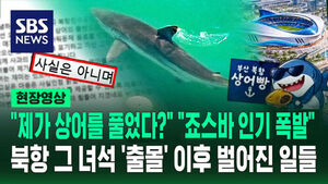[현장영상] "제가 상어를 풀었다고요?" "고래밥 땡겨"&hellip;출몰 그 후 벌어진 일 '총정리'