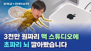 오목교 전자상가: 3천만 원짜리 맥 스튜디오에 초파리 뇌 깔아봤습니다