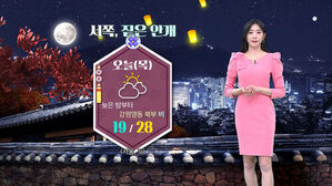 분홍색 원피스를 입은 기상캐스터와 오늘의 날씨 정보를 보여주는 화면