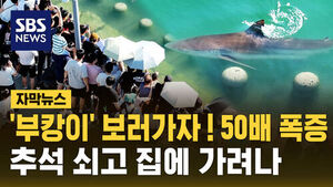 [자막뉴스] '부캉이 보러 가자!' 50배 폭증&hellip;추석 쇠고 집에 가려나