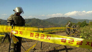 On-Site Probe Conducted 6 Days After Landmine Blast; Explosion Point Not Reached