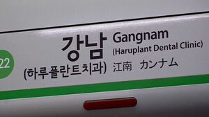 Subway Stations Sell Naming Rights for 28.0 Billion Won... Which Is the Most Expensive?