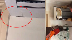 A "Fuzzy Ball" Wriggling Inside an Air Conditioner... The Shocking Identity