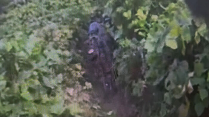 "DMZ 미폭발 지뢰 1발 있었다" 증언&hellip;스모킹건 나오나