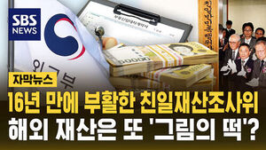 해외재산