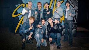 Following BTS, Stray Kids Also Boycott Grammys Over New 'Asian Pop' Category