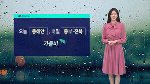 오늘 동해안, 내일 중부 전북 가을비 기상 캐스터 뉴스 화면