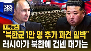 Zelenskyy Claims Imminent Deployment of 10,000 More North Korean Troops... What Russia Offered in Return