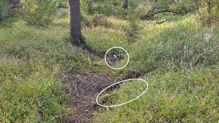 DMZ 조사서 북 지뢰 1발 발견&hellip;"장병 진술과 다른 지뢰"