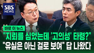 고의성 타령 