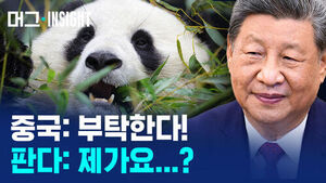When Pandas Arrive, Tensions Thaw; When They Leave, Relations Freeze: Over 80 Years of China's Panda Diplomacy