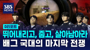 D리포트: 뛰어내리고, 줍고, 살아남아라 배그 국대의 마지막 전쟁