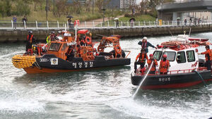 Water Cannons Fail to Move Shark in Busan Port, Delighting Onlookers