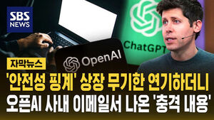 OpenAI Execs Ignored Safety Warnings Before Indefinitely Delaying IPO, Emails Show
