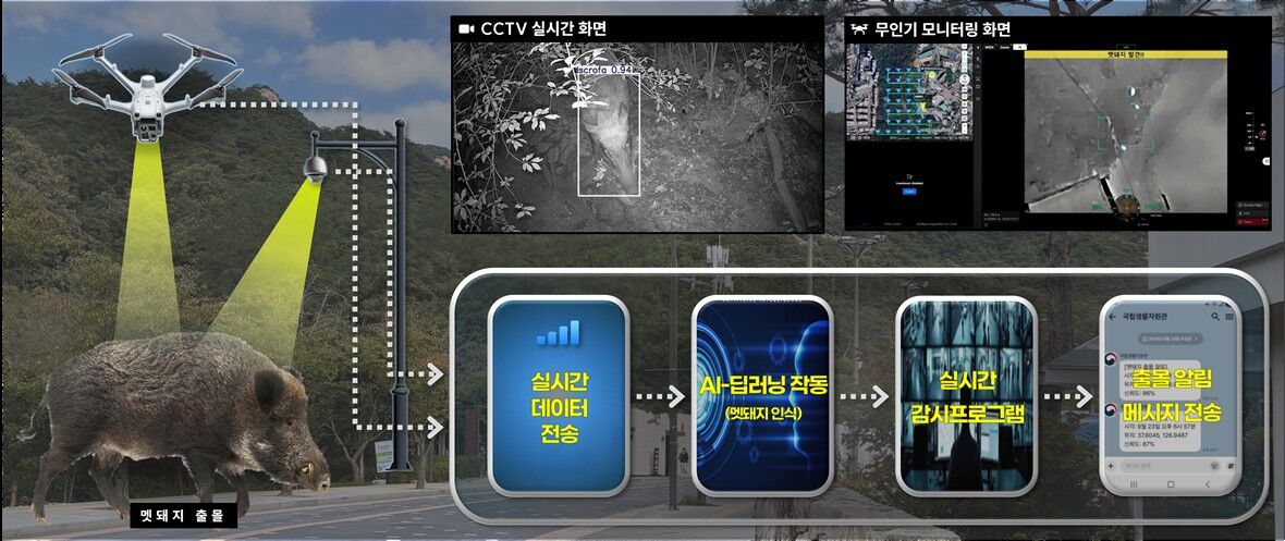 Overview of the AI-based wild boar monitoring program. (Photo provided by National Institute of Biological Resources, Yonhap News)