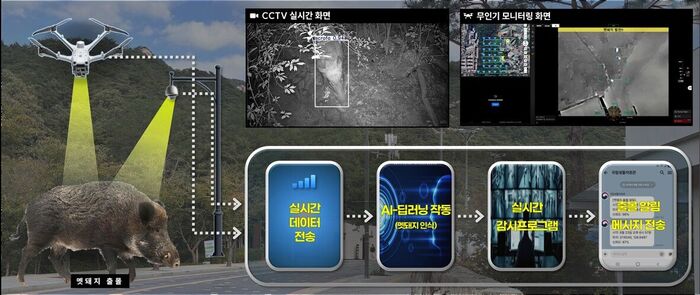 야생 멧돼지 감시 인공지능(AI) 기반 프로그램 개요. (사진=국립생물자원관 제공, 연합뉴스)