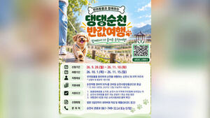 Get Half Your Travel Expenses Back: "Traveling with Pets"