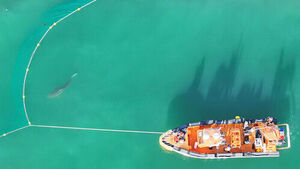 100 Meters Shy of the Sea... Bukang's Second Rescue Operation Suspended
