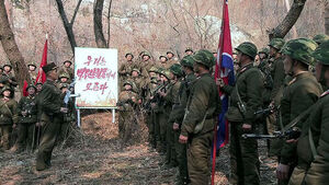 "Minefields Encroach by Average of 20 Meters... Over 50 Incursions This Year Alone"
