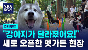 [D리포트] "원래 냄새도 잘 안 맡는데"&hellip; 강아지들이 공원에서 달라진 이유
